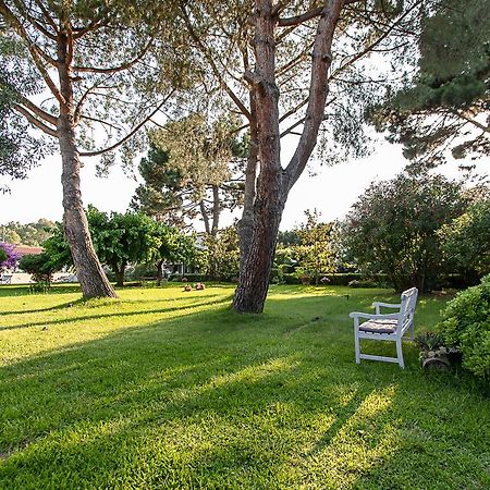 Villa Hermes Сан-Фердинандо Экстерьер фото