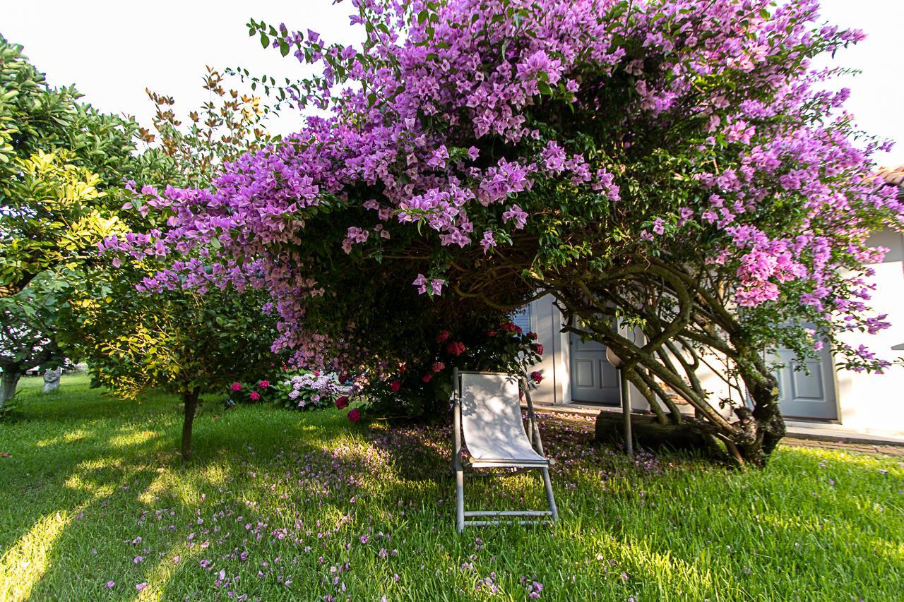 Villa Hermes Сан-Фердинандо Экстерьер фото
