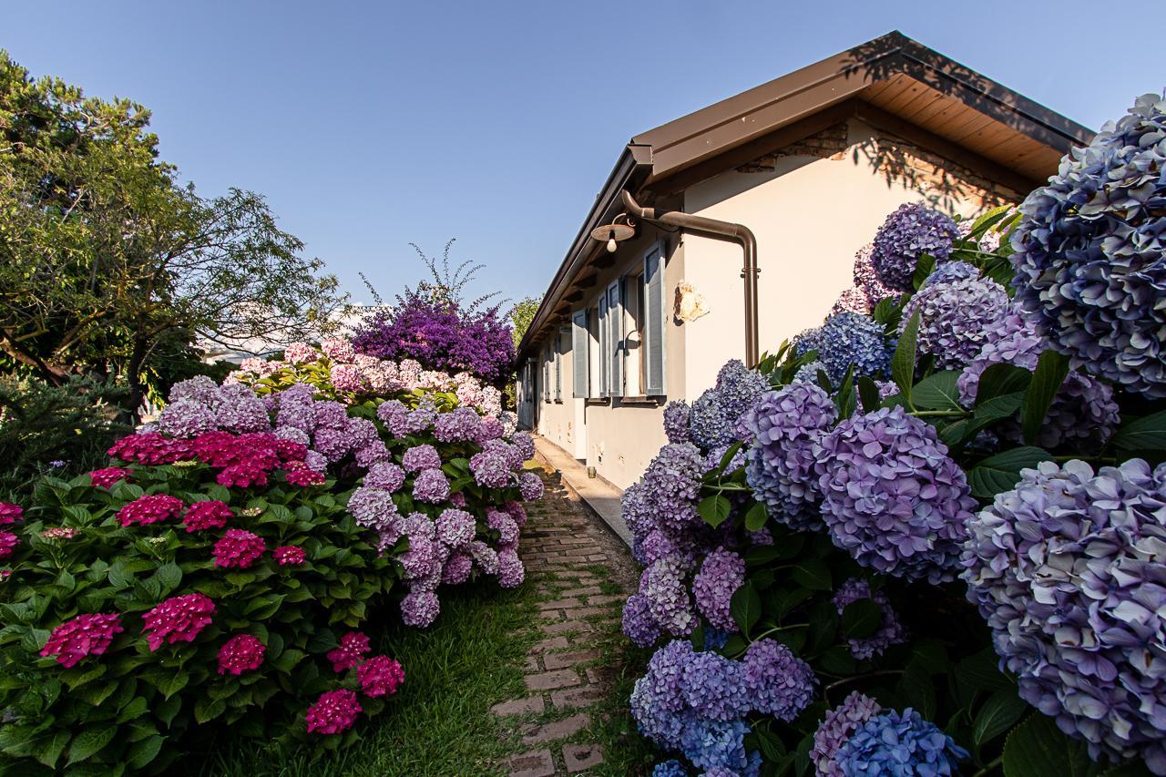 Villa Hermes Сан-Фердинандо Экстерьер фото